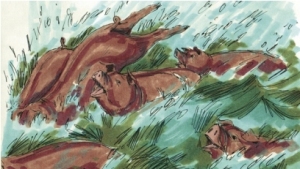 Pigs plunge into the sea
